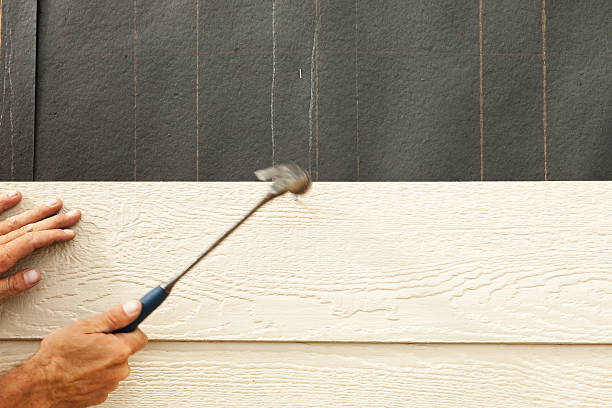 Affordable Siding Repair and Maintenance Services in Jonesville, VA